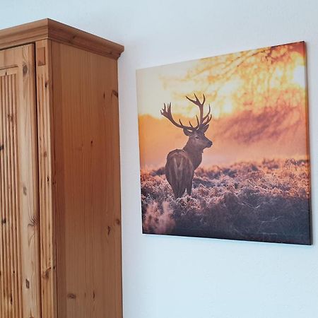 Appartamento Haus Angelika Ehrwald Esterno foto